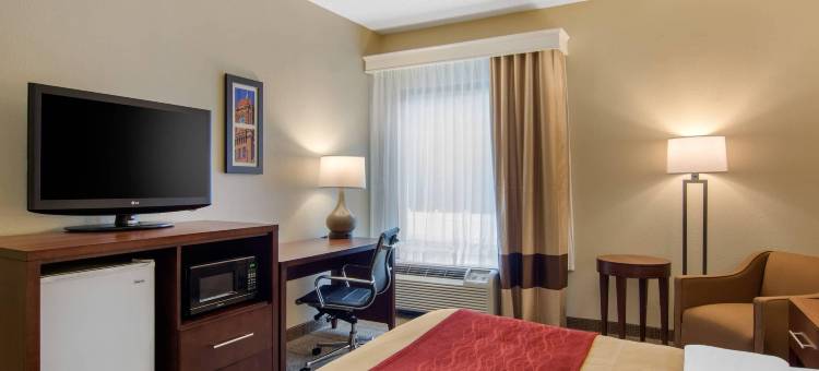 里士满南切斯特舒适酒店(Comfort Inn Chester - Richmond South)图片