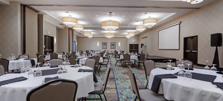 Holiday Inn & Suites 埃德蒙顿国际机场(Holiday Inn & Suites EDMONTON ARPT - CONFERENCE CTR by IHG)图片