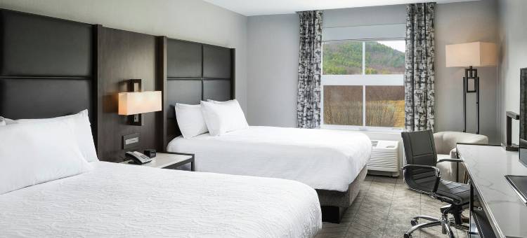 黎巴嫩汉诺威希尔顿花园酒店(Hilton Garden Inn Hanover/Lebanon)图片