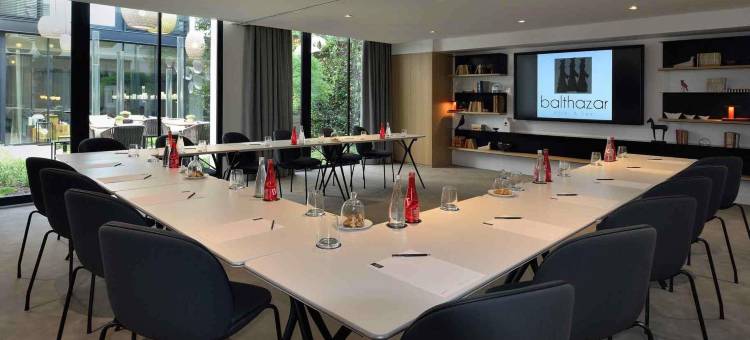 美憬阁雷恩巴尔萨泽水疗酒店(Balthazar Hôtel & Spa Rennes - MGallery)图片