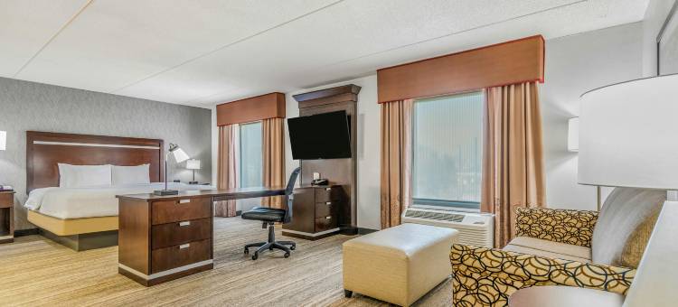 希尔顿欢朋套房酒店-底特律机场罗穆勒斯(Hampton Inn & Suites Detroit/Airport-Romulus)图片