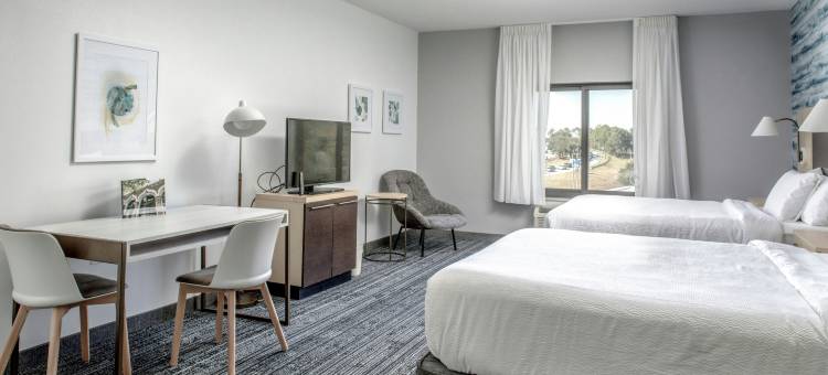 萨凡纳机场万豪TownePlace套房酒店(TownePlace Suites by Marriott Savannah Airport)图片
