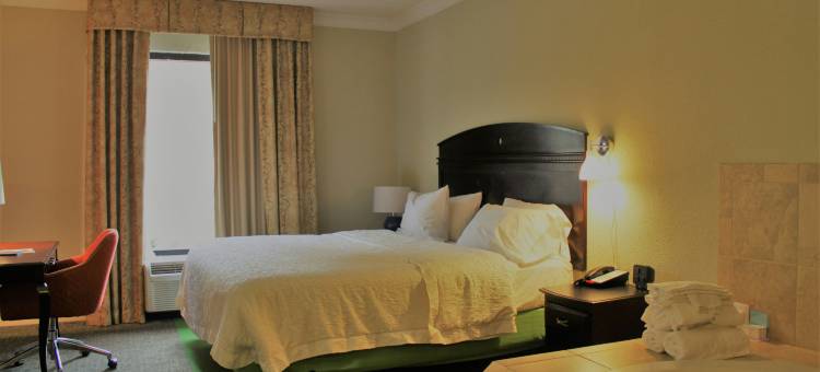阿梅里克斯欢朋酒店(Hampton Inn Americus)图片