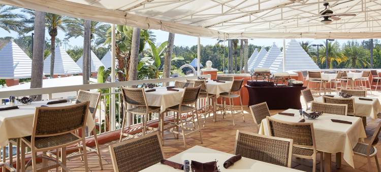 奥兰多海洋公园® 希尔顿分时度假俱乐部(Hilton Grand Vacations Club SeaWorld® Orlando)图片