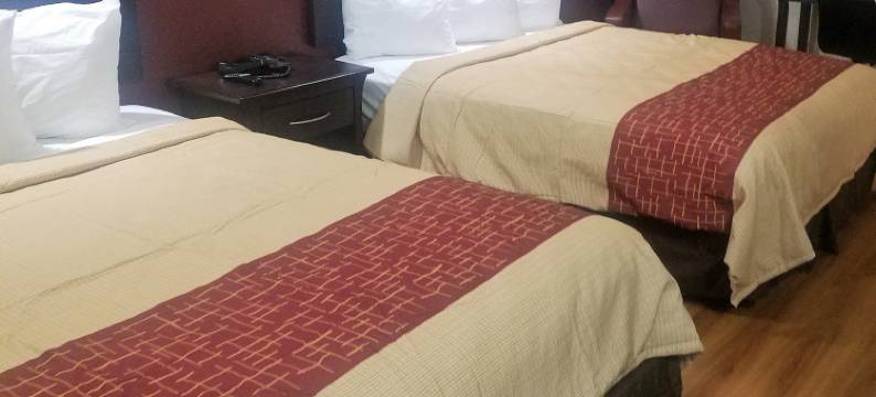 休斯顿-霍比机场红屋顶套房酒店(Red Roof Inn & Suites Houston - Hobby Airport)图片