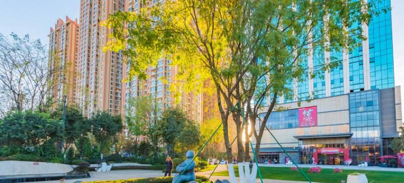 hello喵酱公寓(二环西路分店)图片