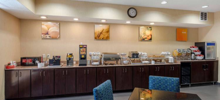 达拉斯沃思堡国际机场舒适套房酒店(Comfort Suites DFW Airport)图片