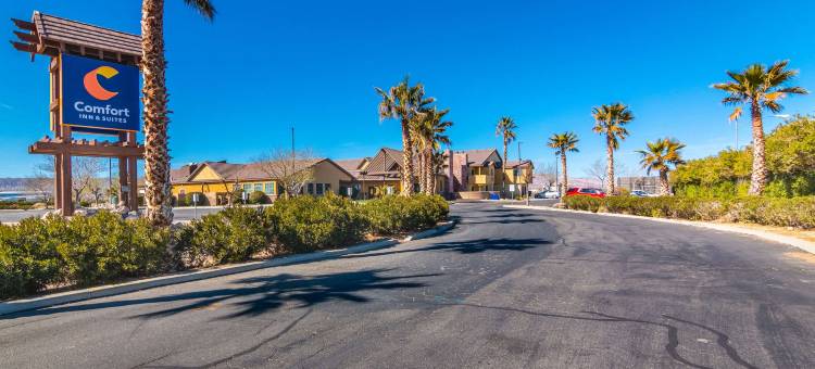 舒适套房酒店(Comfort Inn & Suites)图片