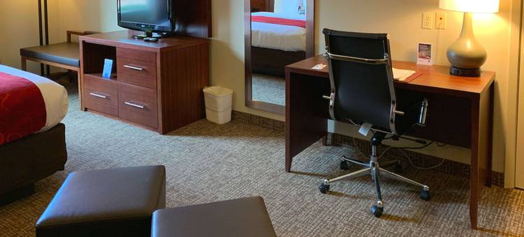 舒适套房酒店-德克萨斯大道(Comfort Suites Texas Ave)图片