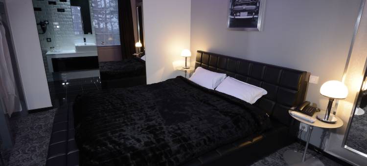 艺术酒店(Art Hotel)图片