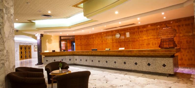 牟拉迪皇宫(El Mouradi Palace - Families and Couples Only)图片