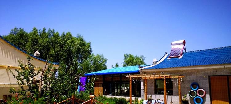 洋土豆院子客栈(滨河大道分店)图片