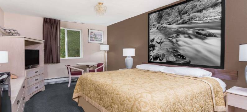 谢尔顿温德姆速8酒店(Super 8 by Wyndham Shelton)图片