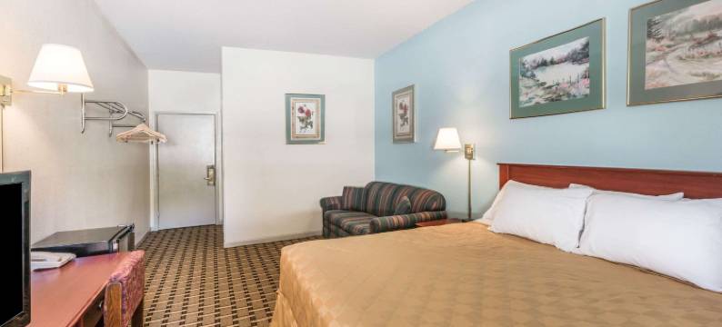 诺克斯维尔市区速8酒店(Super 8 by Wyndham Knoxville Downtown Area)图片