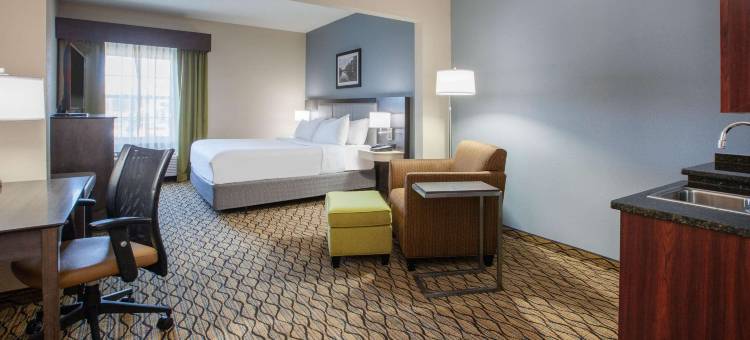 Wingate by Wyndham Roseville/Detroit图片