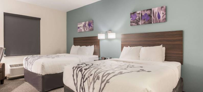 韦布城舒眠套房酒店(Sleep Inn & Suites Webb City)图片