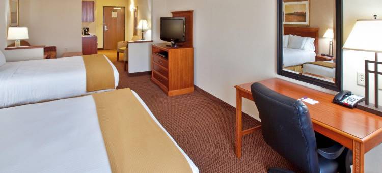 智选假日套房酒店谢尔顿(Holiday Inn Express & Suites Sheldon)图片