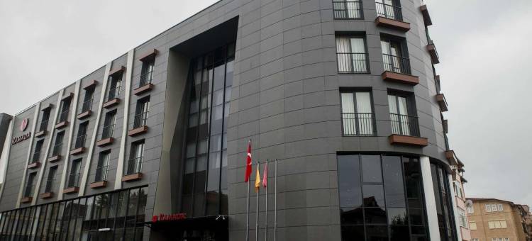 萨卡里亚亨德克温德姆华美达酒店(Ramada by Wyndham Sakarya Hendek)图片
