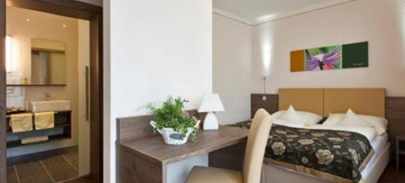 阿尔蒙斯特霍夫酒店(Hotel Altmünsterhof)图片