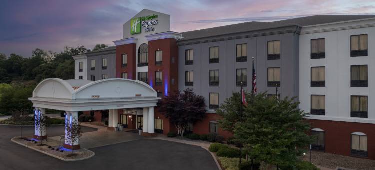 智选假日套房酒店诺克斯维尔的克林顿(Holiday Inn Express & Suites KNOXVILLE-CLINTON by IHG)图片