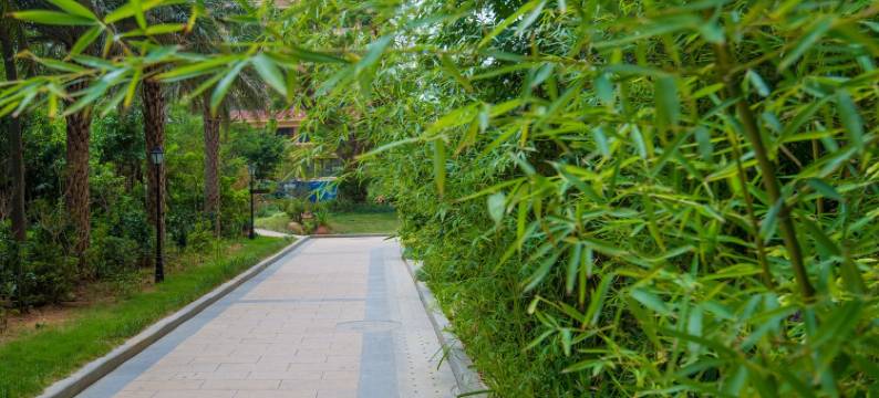 浪花朵朵海景民宿(美景路分店)图片