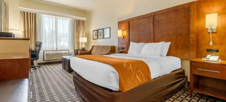 萨默维尔 - 查尔斯顿舒适酒店(Comfort Inn Summerville - Charleston)图片