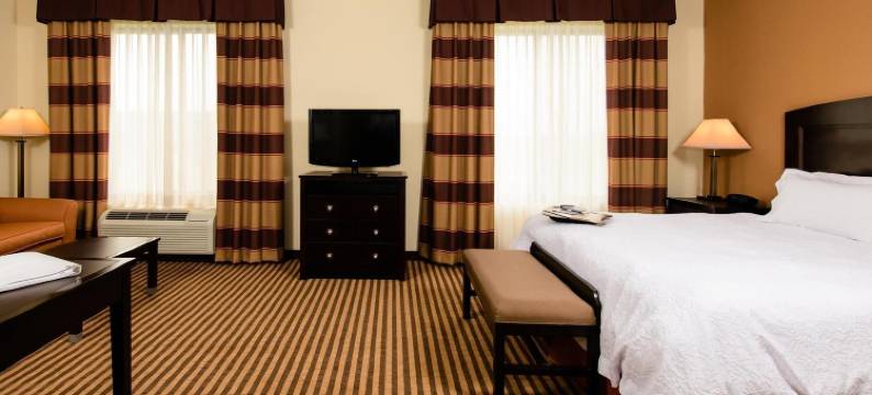 亚瑟港欢朋酒店及套房(Hampton Inn & Suites Port Arthur)图片