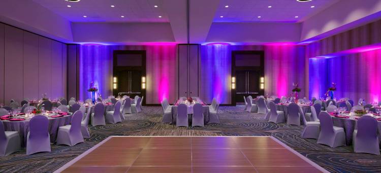 圣安东尼奥地标希尔顿安泊酒店(Embassy Suites by Hilton San Antonio Landmark)图片