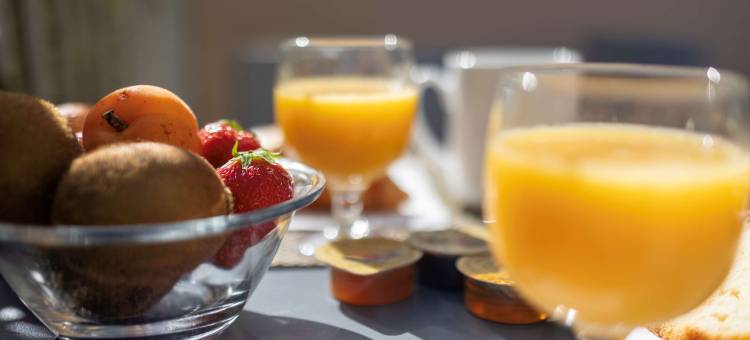 基里亚德酒店-弗雷吉斯市中心(Kyriad Frejus Centre - Saint RAPHAËL)图片