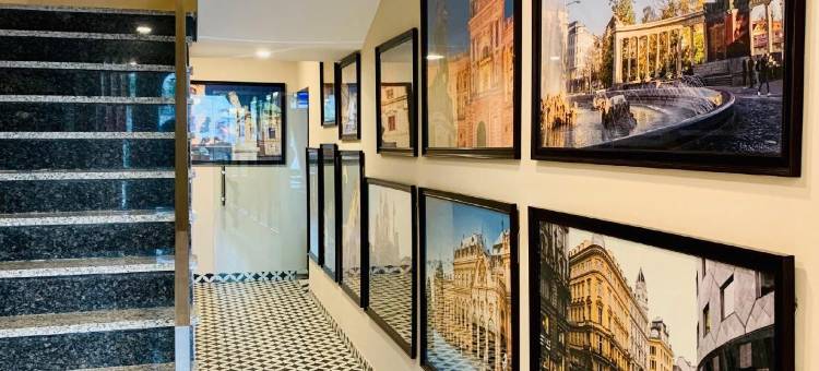 维也纳精品酒店(Treebo Vienna)图片