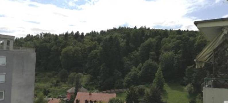 公寓(Ljubljana Sky View)图片