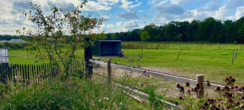 Luxe Finse Kota Van de Zandhoef图片