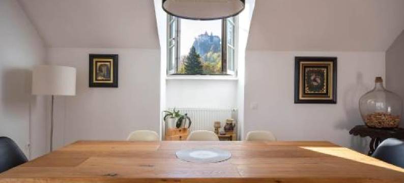 维拉帕罗夫斯基公寓(Apartment Vila Pavlovski)图片