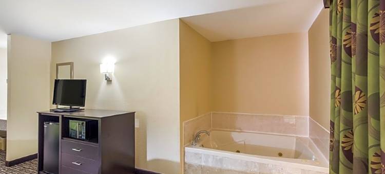 圣路易斯凯西维尔凯艺套房酒店(Quality Inn & Suites Caseyville - St. Louis)图片