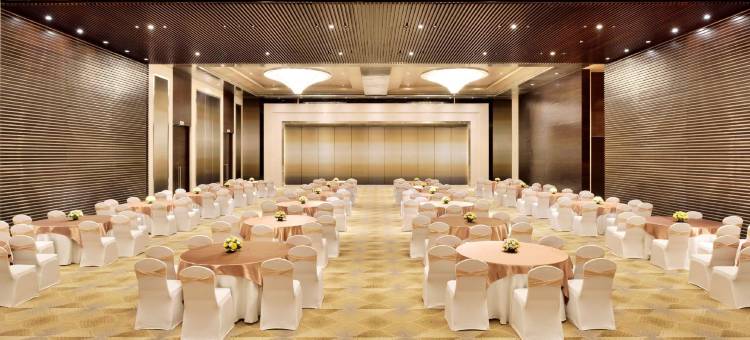 哥印拜陀丽笙酒店(Radisson Blu Coimbatore)图片