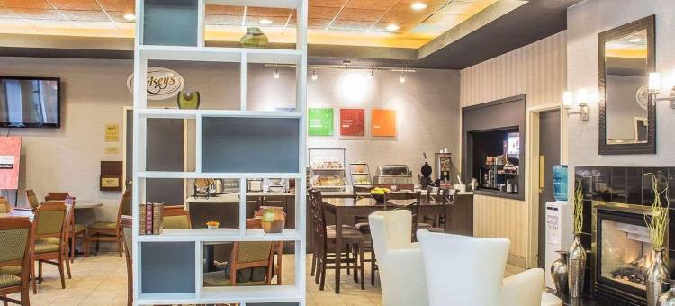 舒适套房酒店(Comfort Hotel & Suites)图片