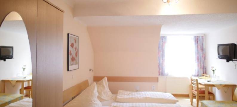 艾森诺色霍夫酒店(Eisenerzer Hof)图片