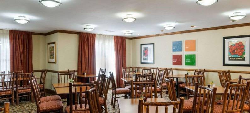 舒适套房酒店(Comfort Inn & Suites)图片