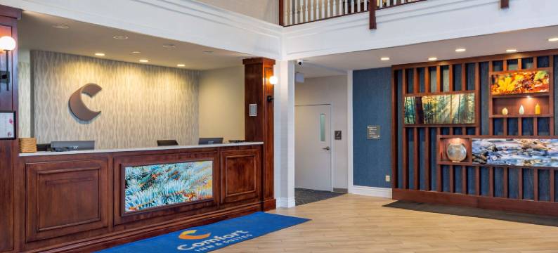 东格林奥尔巴尼舒适套房酒店(Comfort Inn & Suites East Greenbush - Albany)图片