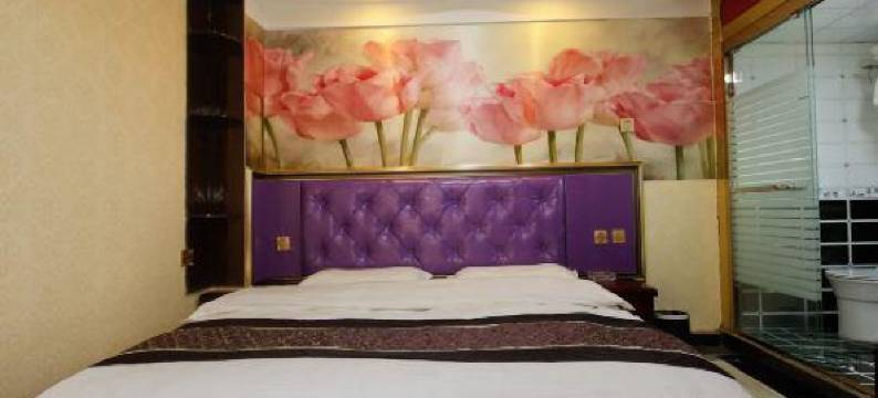 西安盛龙主题酒店图片