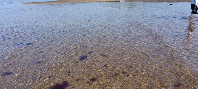 仙人岛宇然民宿图片