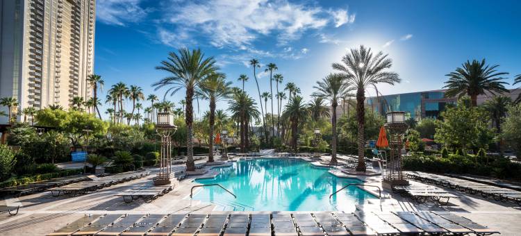 美高梅大酒店(MGM Grand Hotel and Casino)图片