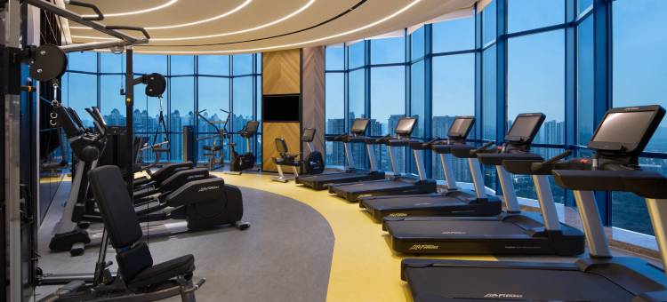 西安浐灞喜来登酒店(务庄地铁站)图片