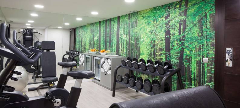 拉格斯卡NH酒店(NH Madrid Lagasca)图片