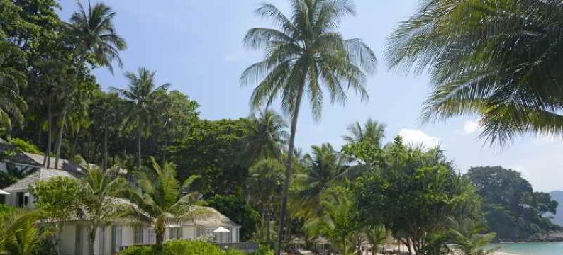 普吉岛苏林酒店(The Surin Phuket)图片