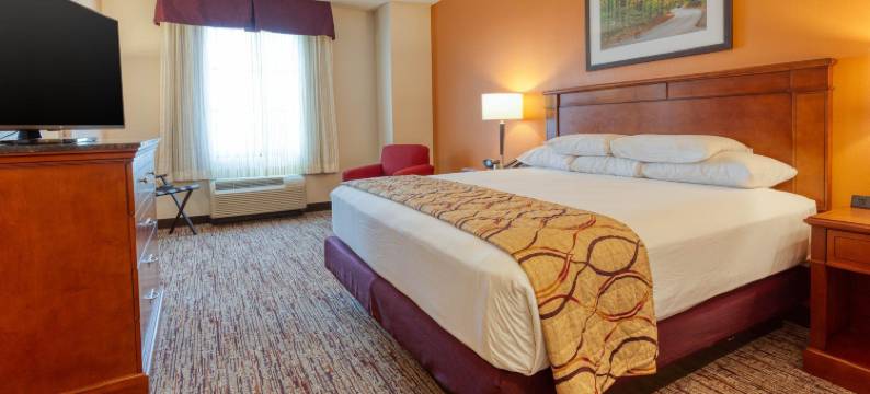 印第安纳波利斯东北德鲁里套房酒店(Drury Inn & Suites Indianapolis Northeast)图片