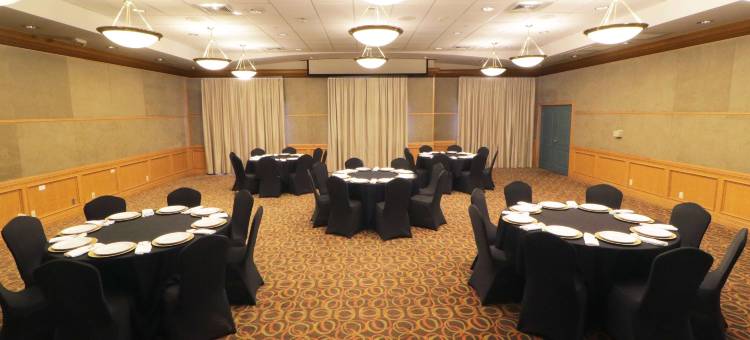 迈克艾伦温德姆花园酒店(Wyndham Garden McAllen at la Plaza Mall)图片