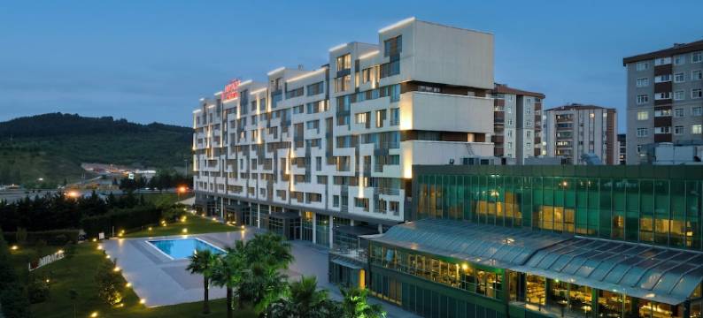 伊斯坦布尔亚洲机场奇迹水疗酒店(Miracle Istanbul Asia Airport Hotel & Spa)图片