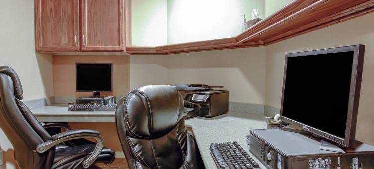 舒适酒店(Comfort Inn)图片