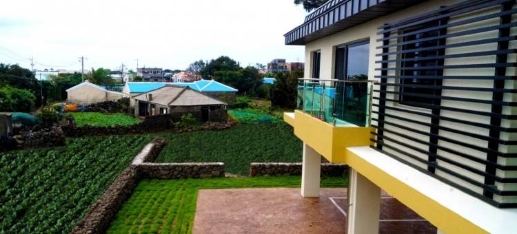 濟州米爾恩旅館(Jeju Mirine Jeju Pension)图片